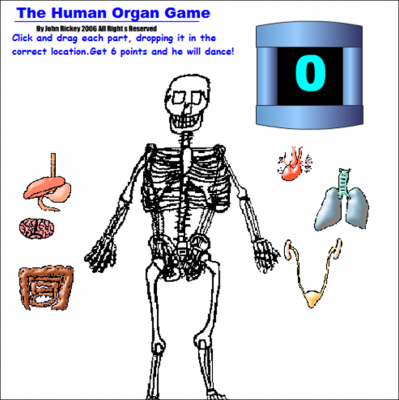 THE HUMAN BODY