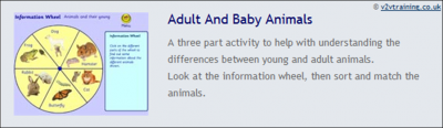 ADULT AND BABY ANIMALS