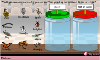 MINIBEASTS PLENARY